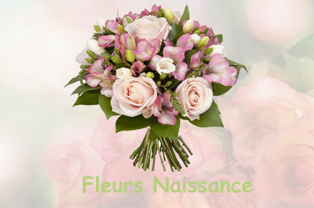 fleurs naissance SUCCIEU