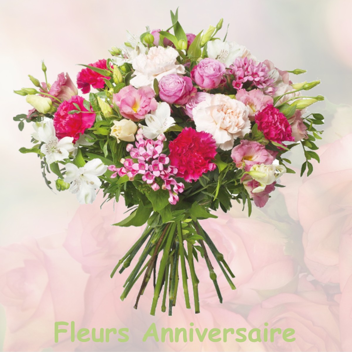 fleurs anniversaire SUCCIEU