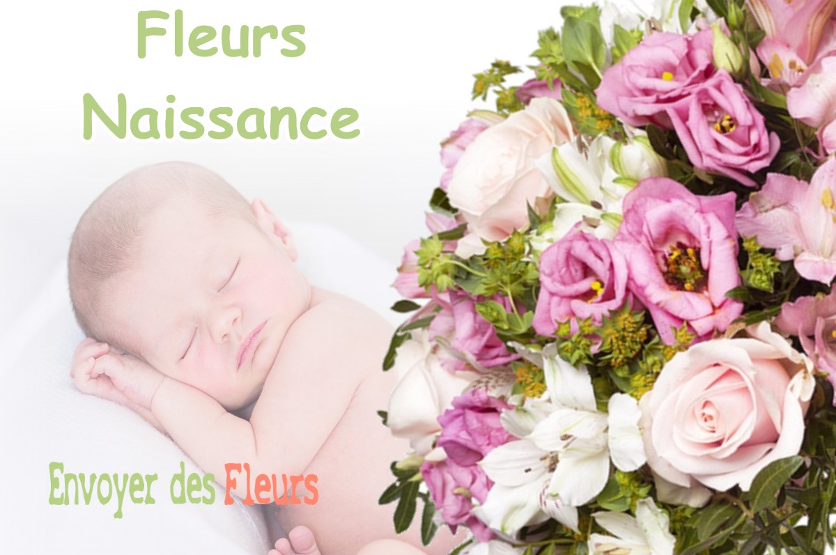 lIVRAISON FLEURS NAISSANCE à SUCCIEU