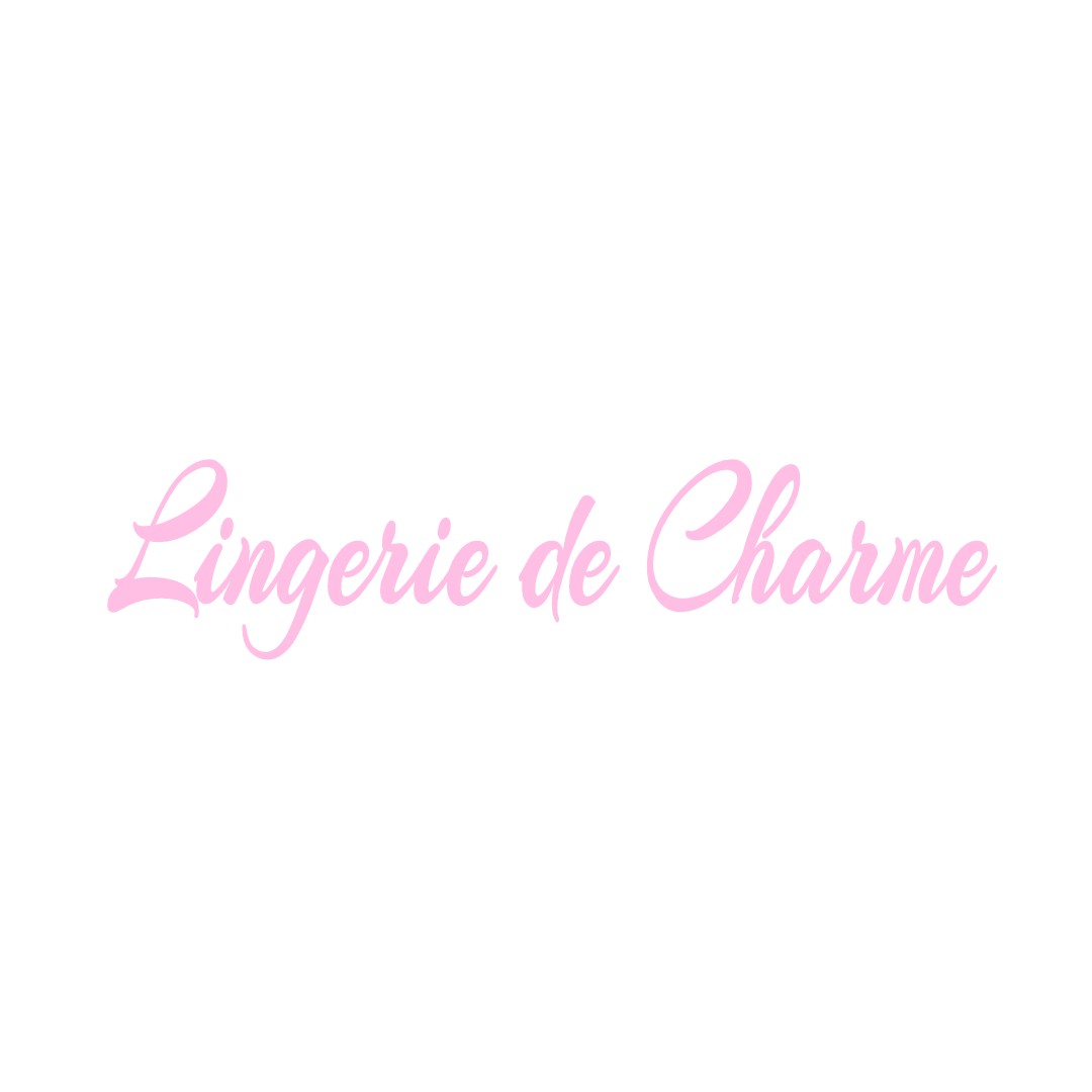 LINGERIE DE CHARME SUCCIEU